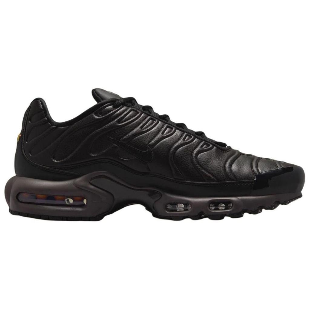 Nike Кроссовки Air Max Plus Premium Paris Unisex Black Black-Tea Petra-Brown HJ4519-200