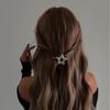 New Luxury Temperament Metal Geometric Irregular Round Hairpin Women's Casual Versatile Hairpin