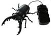 Wild The Strongest Remote Control Battle Stag Beetle King -