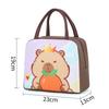 Cartoon Capybara Lunch Bag Insulated Food Container Portable Thermal Bento Box Bag Multifunctional Kids School Picnic Food Pouch