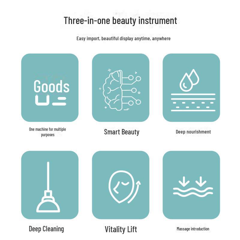 Electric Facial Cleanser: Lifting & Firming Beauty Tool, Vibration Massager, Ion Introduction Device.