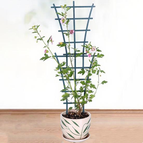 Plant Climbing Frame Stackable Support Trellis Planter Insert Houseplant Trellis for Potted Ivy Roses Cucumbers Home Indoor Outdoor Gardening