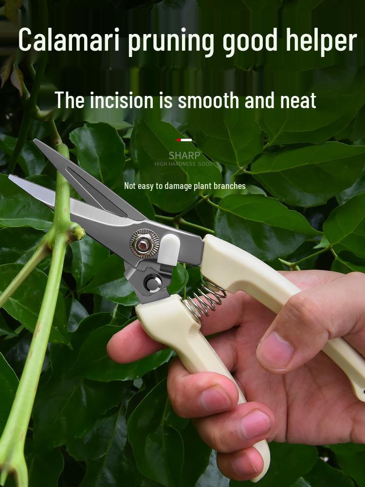 Powerful Gardening Pruning Shears: Labor-Saving, Ideal for Flower, Horticulture, Grafting, and Fruit Tree Picking.