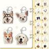 Samoyed Labrador Puppy Pendant Husky Acrylic Corgi Keyring Border Collie Dog Keychain  Unisex