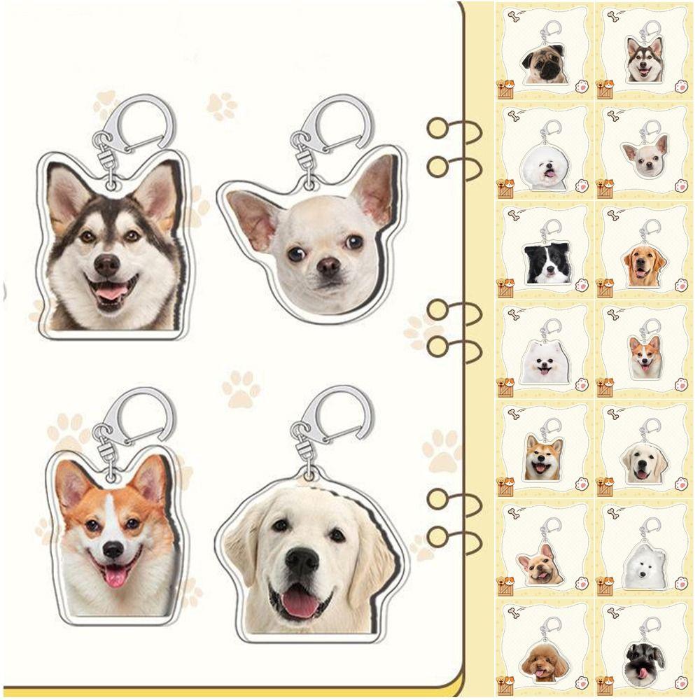 Samoyed Labrador Puppy Pendant Husky Acrylic Corgi Keyring Border Collie Dog Keychain  Unisex
