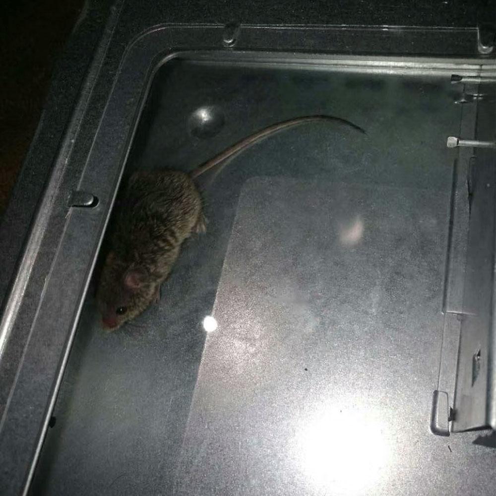 New Mouse Trap Self Catching Mice Killer Humanized Reusable Rodent Catcher with Protective Cover Mouse Control for Home Kitchen