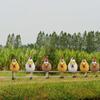 Куриные украшения, дизайн забора, двора, креативное украшение, фермерский двор, статуя курицы из смолы
