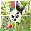 100/1Pcs Plastic Plant Support Clips Reusable Garden Vegetable Tomato Vines Upright Twine Plant Fixed Clips Holder Grafting Fixing Tools