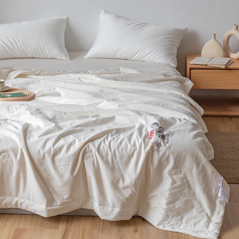 Muji Soybean Fiber Quilt with Soft Fabric