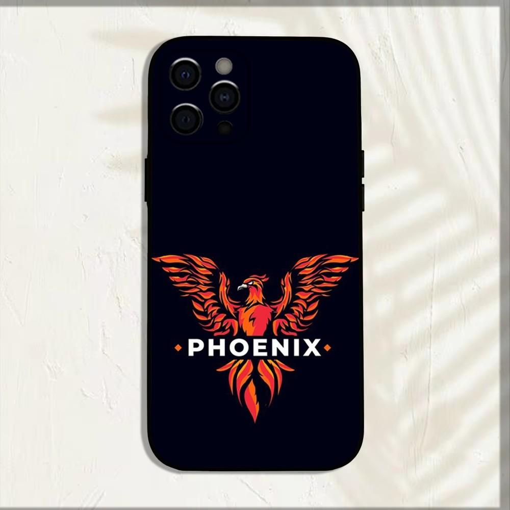 Cool Phoenix Nirvana Phone Case For iPhone 16,15,14,13,12,11,Pro,X,XS,Max,XR,Plus,Mini Soft Black Cover