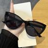 Men Women's New Trend Cat Eye Sunglasses Fashion Outdoor Anti-UV Sun Glasses Unisex Retro Large Frame Driving Eyeglasses Shades
