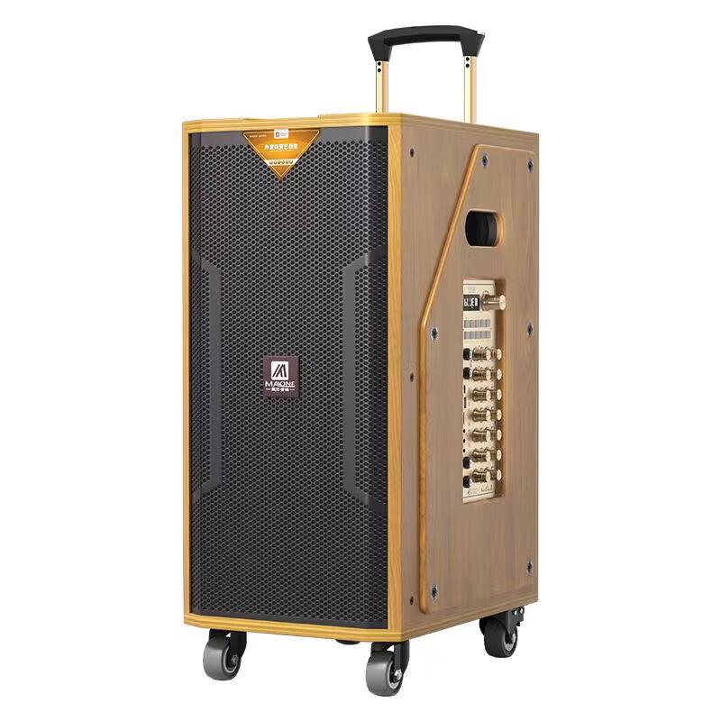 MALONE M-8810 High-Power Portable Karaoke Trolley Speaker CN plug (adapter included)