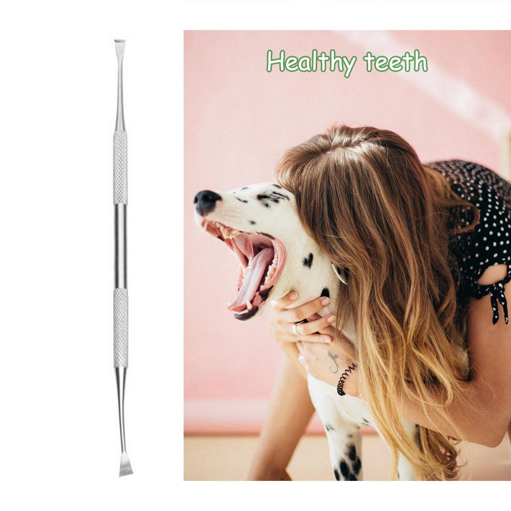 Скейлер для удаления зубного камня и скребок для удаления зубного камня для домашних животных с разными углами, двойная нержавеющая сталь Te
