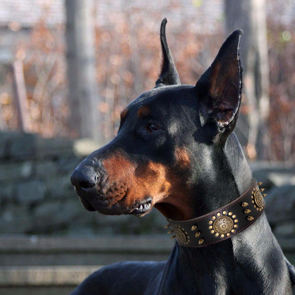 Кожаный ошейник для больших собак Pitbull, ошейники с шипами и шипами для средних и больших собак, прочный ошейник из натуральной кожи для домашних животных, коричневый