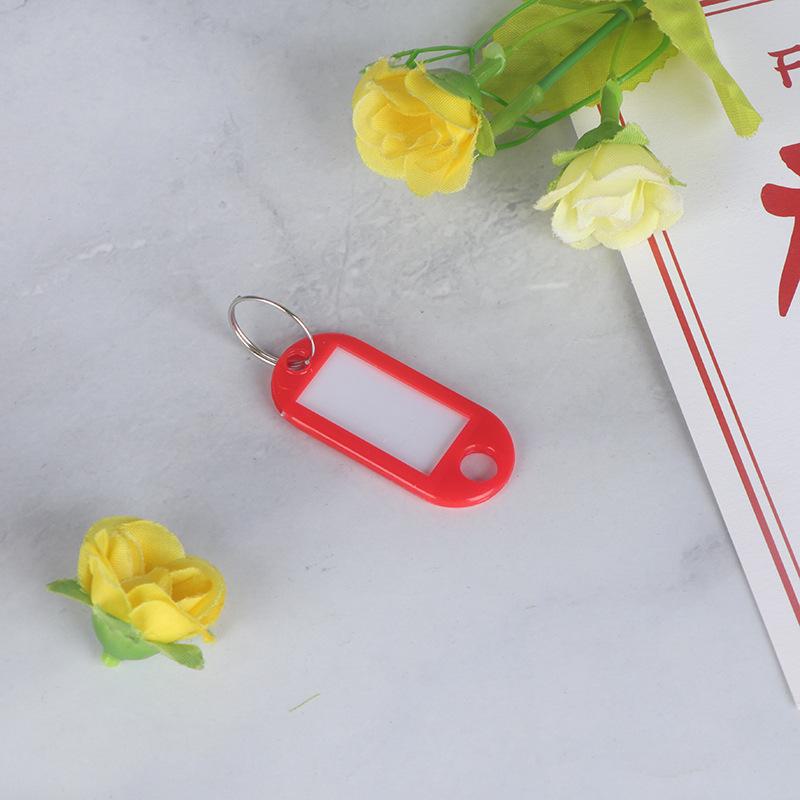 Colorful Plastic Key Tag for Luggage and Hotel Room Identification