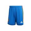 Sport Performance Striped Printed Embroidered Soccer Shorts Men Shorts Blue HE2025