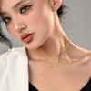 Shaped Beautiful Heart Titanium Steel Necklace For Trendy Women With Adjustable Length Options