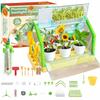 Educational Kit Experiment Greenhouse Mini Garden Real Growing Flowers