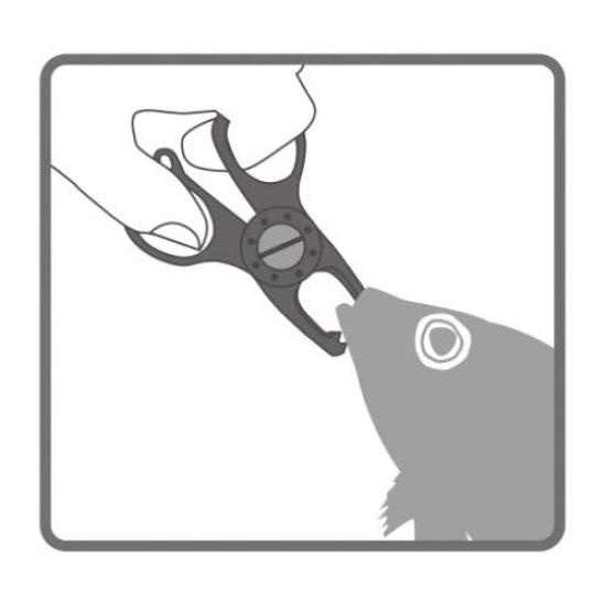 Daiichi Seiko Gargrip Nano MC Fish Foliage Fish Рыбалка Рыбалка Рыболовный захват, Зеленый. Зажим, Плоскогубцы, Захват,