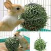Sphere Feed Dispense Exercise Hanging Hay Ball Guinea Pig Hamster Rabbit Pet Toy