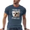 Im Here Live Im Not A Cat Tshirt Plus Size Basic Short Sleeve Top