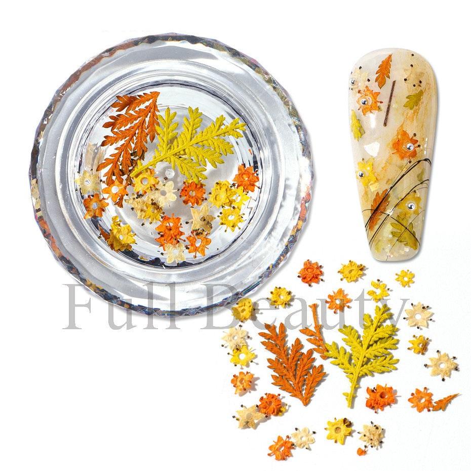 1 коробка для ногтей, сушеные цветы, маленькие ромашки, натуральные цветочные наклейки, смешанные сухие цветы, сделай сам, наклейки для дизайна ногтей, УФ-гель-лак для маникюра