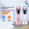 Beauty Instrument EMS Microcurrent Skin Rejuvenator Color Light Introducer Cleanser Facial Lift Massager