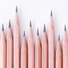 Deli Wood World Hexagonal 2B Pencils