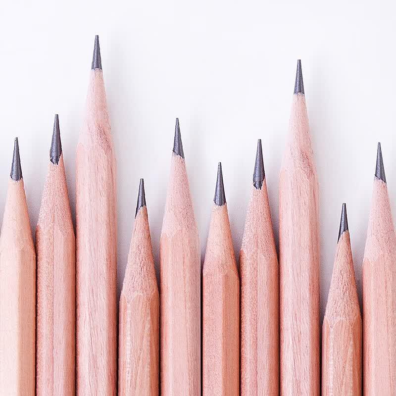Deli Wood World Hexagonal 2B Pencils