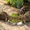 Stainless Steel Water Turtle Dish Dual-Purpose Tortoise Feeder Bowl Reptile Food Bowl  Tortoise