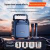Портативная Bluetooth-караоке-колонка Newmine K511, штекер CN (адаптер в комплекте)