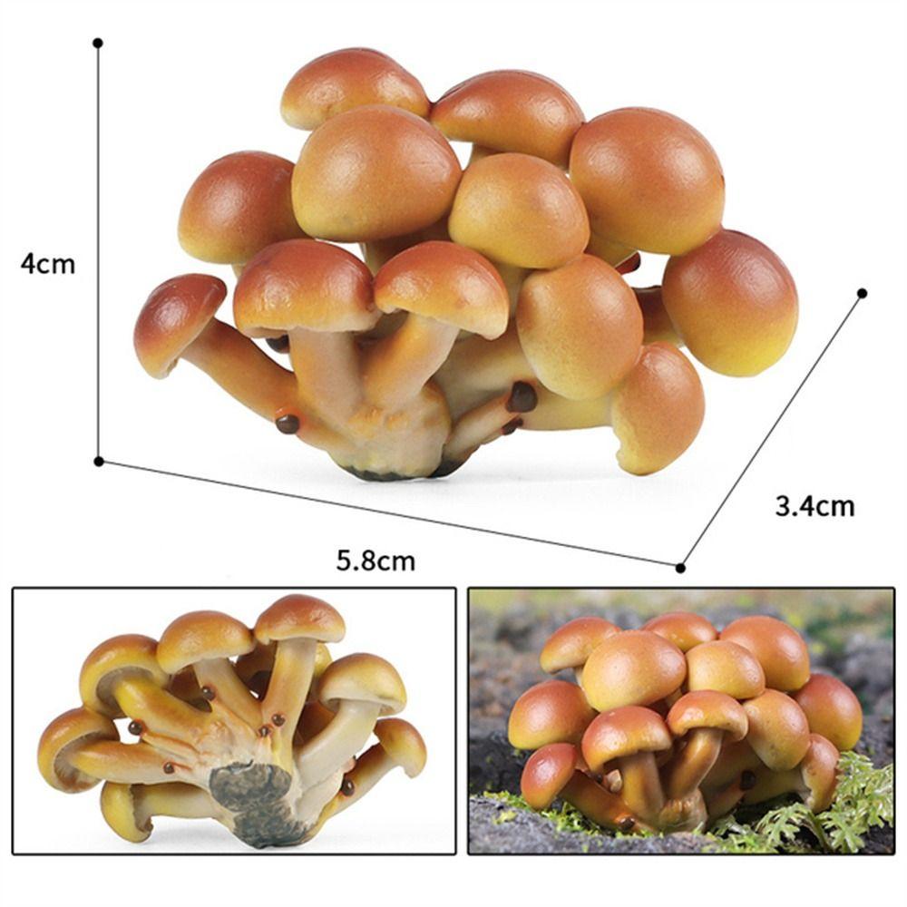 Vegetable Model Simulation Mushroom Landscape Miniatures Fungus Model  Home Decoration