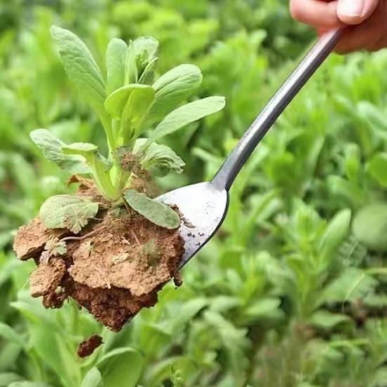 Садовая маленькая ручная лопатка с нескользящей эргономичной ручкой Т-образной конструкции, садовый совок, инструмент для удаления сорняков