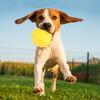 Portable Durable EVA Yellow Solid Bite Resistant Floating Pet Dog Training Ball Chew Toys