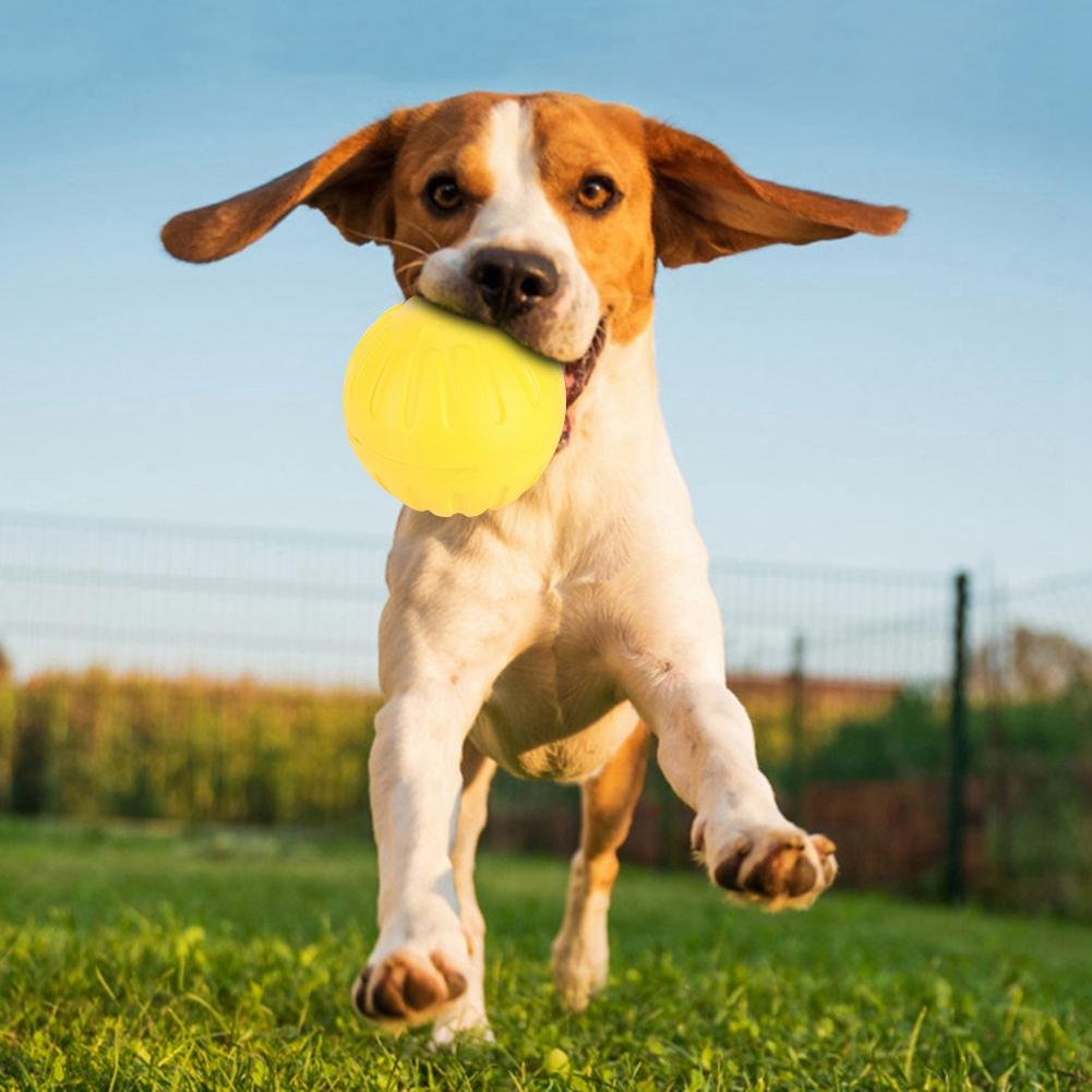 Portable Durable EVA Yellow Solid Bite Resistant Floating Pet Dog Training Ball Chew Toys