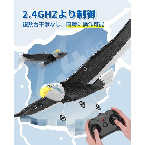 RC Glider, RC Airplane for Kids and Beginners, 2 Batteries Included, EPP Material, Lightweight, Durable, Impact Resistant, 6-Axis Control, 2.4Ghz, 2-C