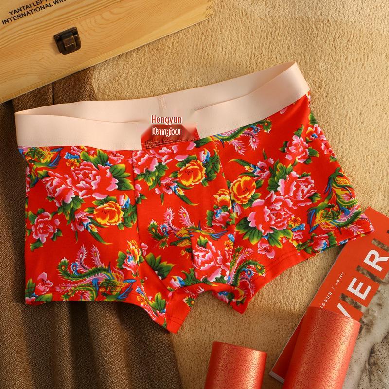 Мужские боксеры-брифы из чистого хлопка с антибактериальным эффектом от Northeast - Дышащие, Удобные, Высококачественные