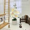 Butterfly Orchid Faux Potted Plant With Silk Cloth Material For Home Decor And Outdoor Photography