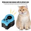 Игрушка-беговая дорожка с перьями для кошек, автоматическое/дистанционное управление, сделай сам, имитация игрушки для охоты на кошку и мышь, регулируемая скорость, интерактивная игра-погоня для домашних кошек