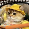 Solid Color Pet Summer Hat Sun Block Outdoor Camping Soft Adjustable Cotton Fisherman Hat for Cats Dogs S M L 1PC MOQ