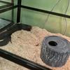 Portable And Practical Reptile Cave/shelter. Realistic Habitat for Reptiles.