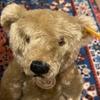 [USED] Steiff Teddy Bear 1920 Classic with tag