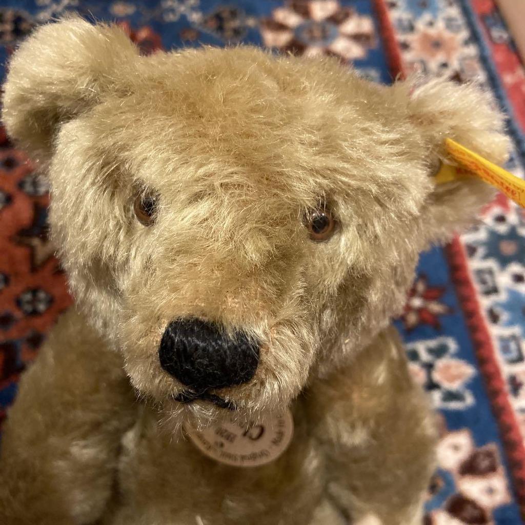 [USED] Steiff Teddy Bear 1920 Classic with tag