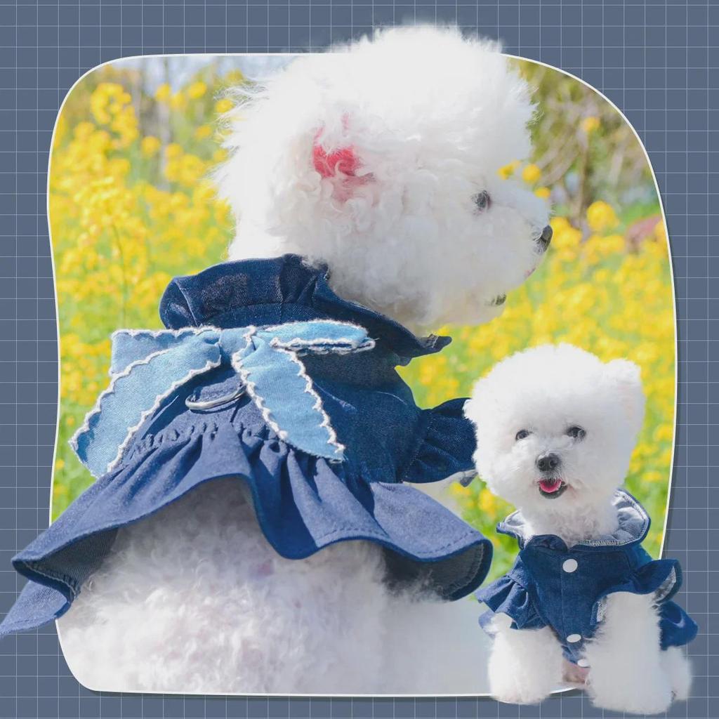Платье-подтяжка из денима с цветочным принтом Pet Circle для маленьких и средних собак: Издание «Красный цветок»