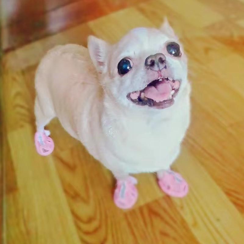 4pcs Summer Mesh Pet Sandals Shoes For Small Dogs Anti-skid Cow Tendon Sole Puppy Dog Sneakers Chihuahua Mascotas Accessories