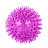 Sound Thorn Bite-Resistant Dog Ball: Elastic, Durable, Interactive TPR Pet Toy