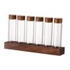 12 Pack Coffee Bean Storage Tubes with Wooden Stand, Airtight Sealed Glass Canisters,