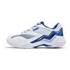 Li Ning Thunder Sonic Boom Амортизация Скользкая Устойчивая к истиранию Низкие Бадминтонные кроссовки Унисекс Белый Синий AYTV005-1