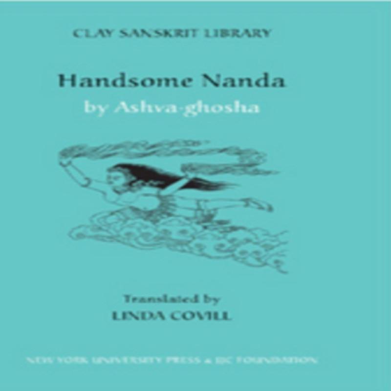 Handsome Nanda Hardback Book 9780814716830