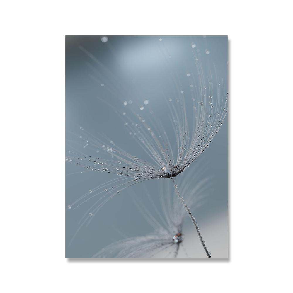 Серо-голубое растение Одуванчик Суккулент Картина на холсте Скандинавский пейзаж Фотография Постер Современный домашний декор Гостиная Спальня